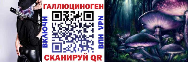 где можно купить наркотик  Лениногорск  МЕГА ссылка  Псилоцибиновые грибы GOLDEN TEACHER 